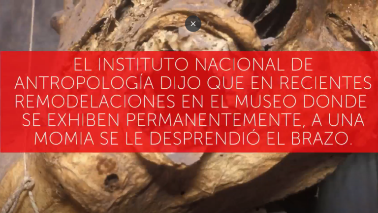 Gobierno mexicano acusa a museo de desprender brazo de momia del siglo XIX