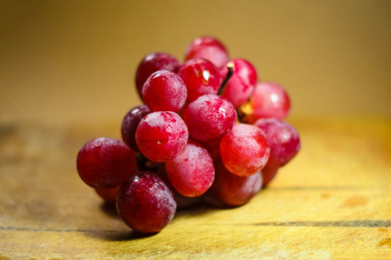 Clausura de la Casa del Vino en Neyba afecta intento de desarrollar la vitivinicultura